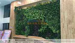 造型柔美的植物墙 植物墙设计