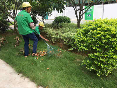 广东怡轩园林绿化公司9月份的日常绿化养护管理工作